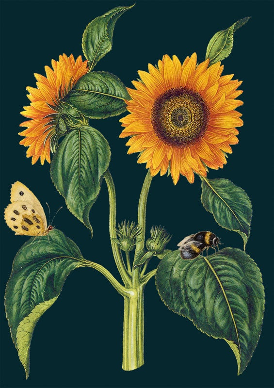 Card - Sunflower and The Bee