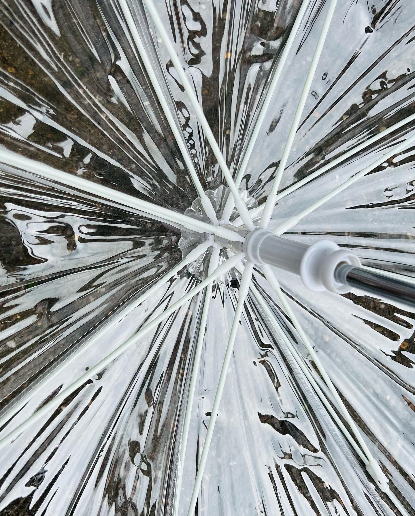 Clear Vinyl Dome Umbrella