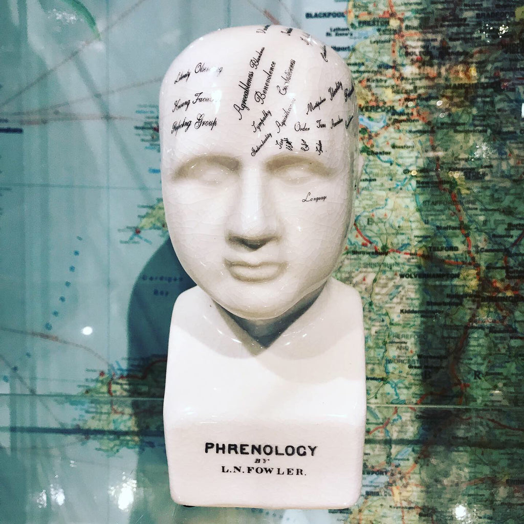 Phrenology head small