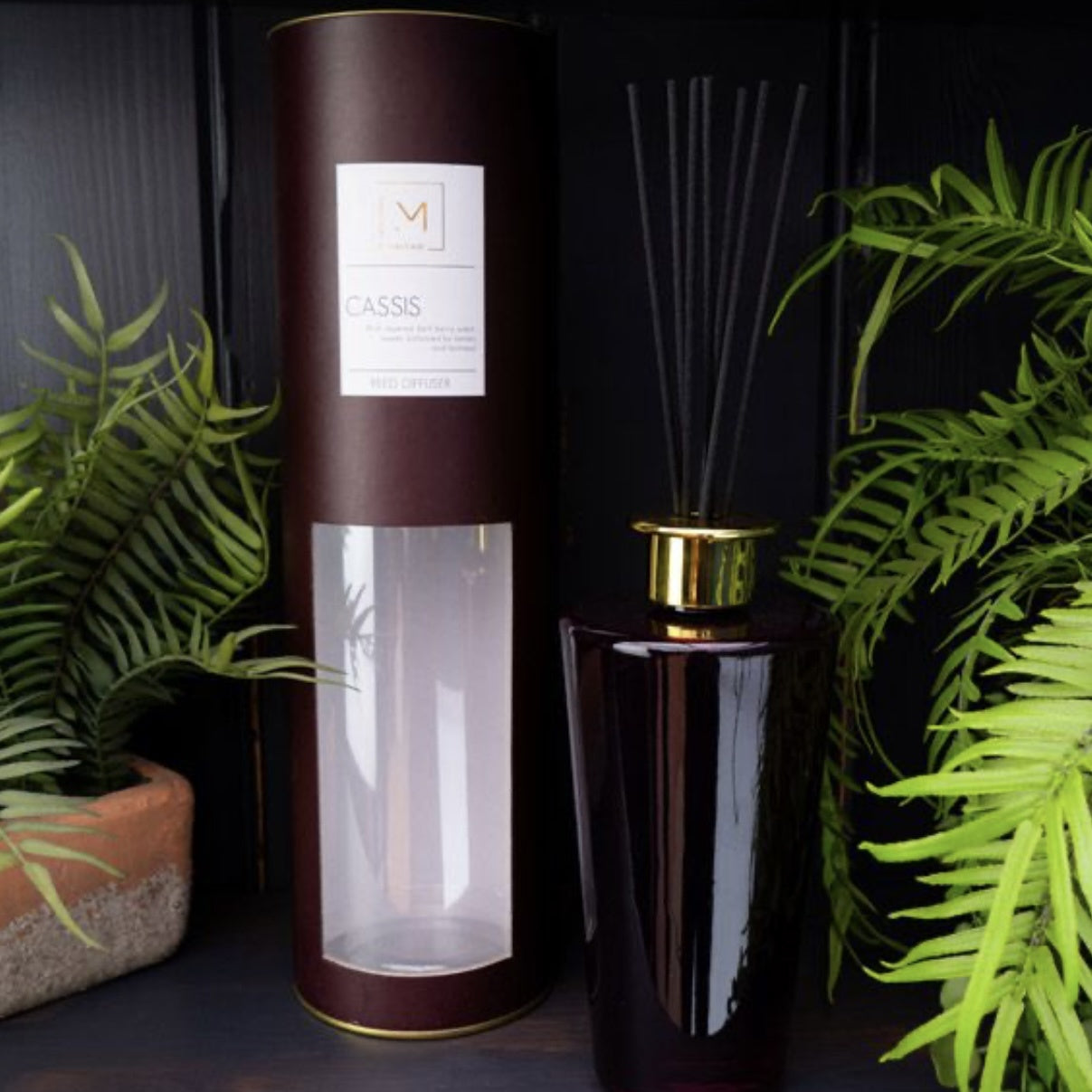 Luxury Scented Cassis Reed Diffuser