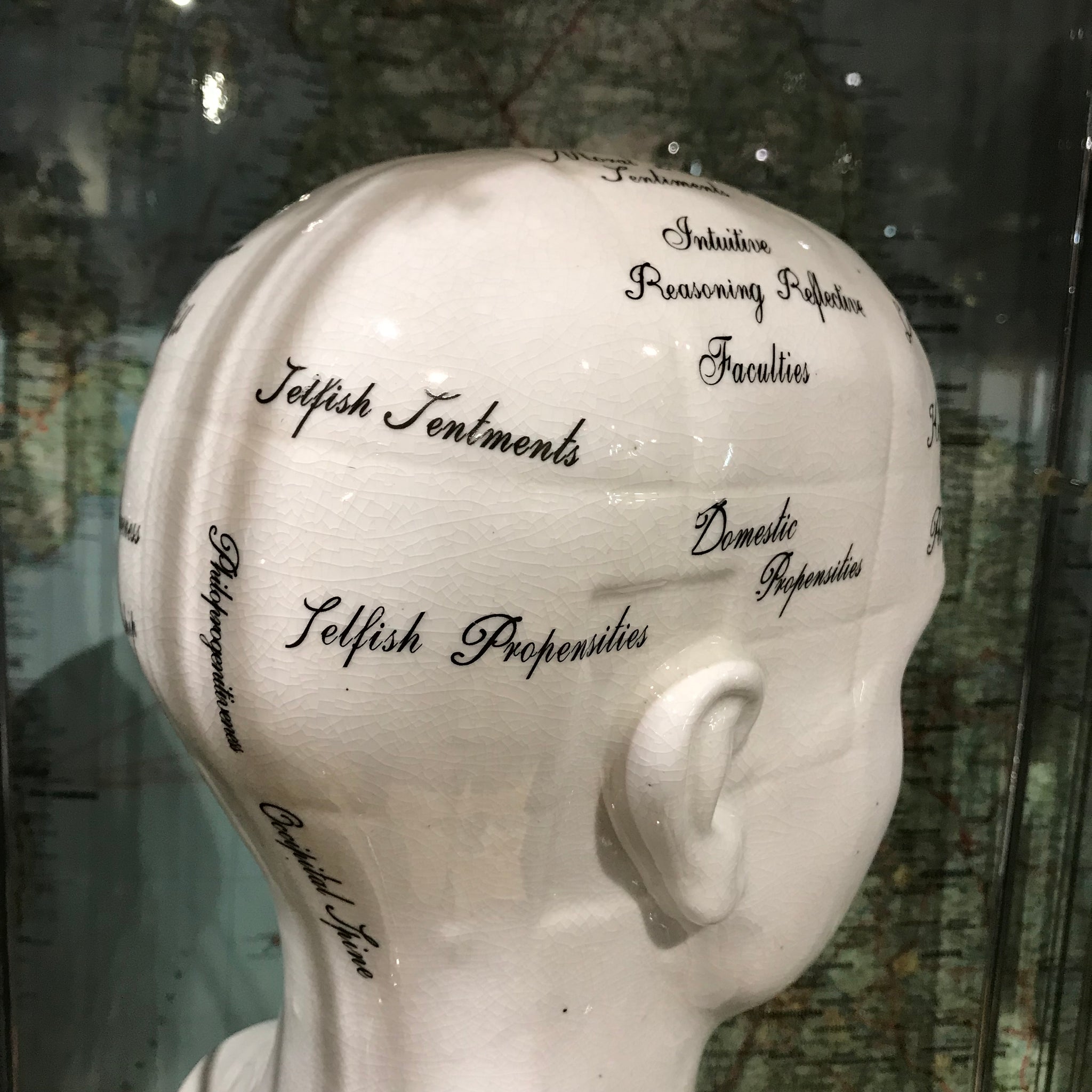 Large antiqued ceramic phrenology head