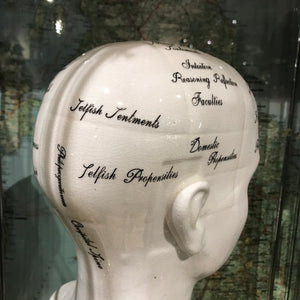 Large antiqued ceramic phrenology head