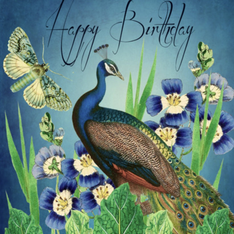 Birthday Card - Peacock & Moth