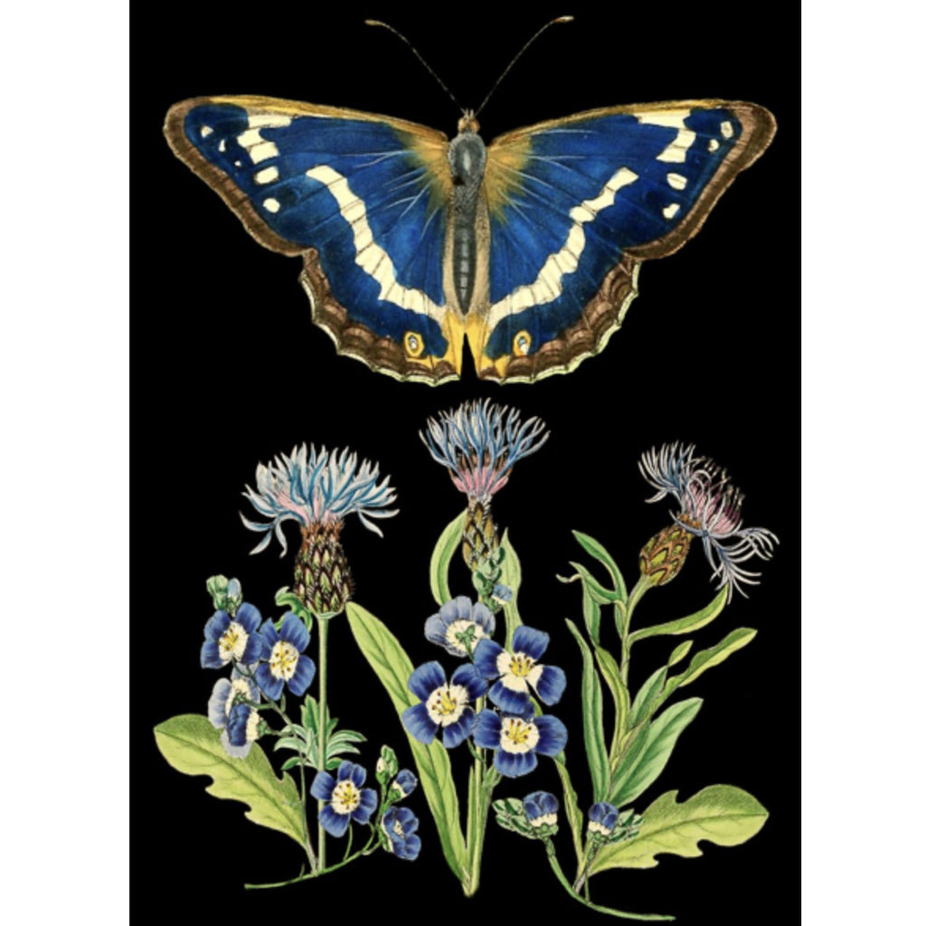 Greetings Card - Butterfly & Cornflowers