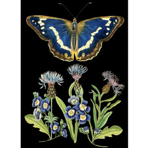 Greetings Card - Butterfly & Cornflowers