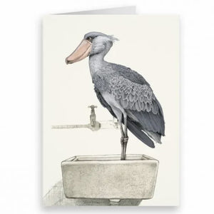 Card - Shoebill