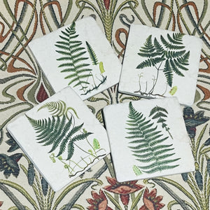 Set of Four Fern Drinks Coasters