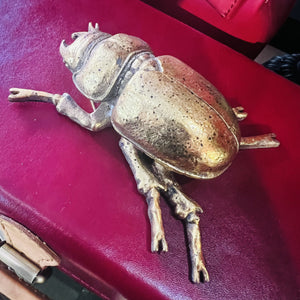 Wall Mounted Decorative Gold Beetle