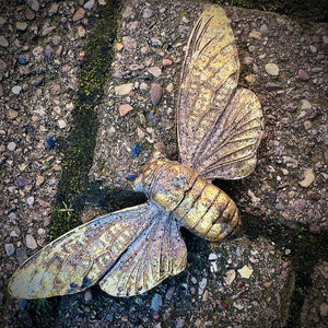 Wall Mounted Flying Cicadas Bug