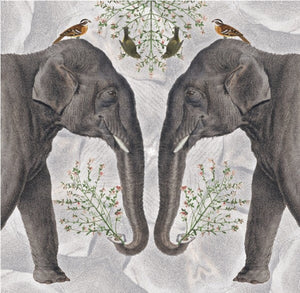 Card - Indian Elephants