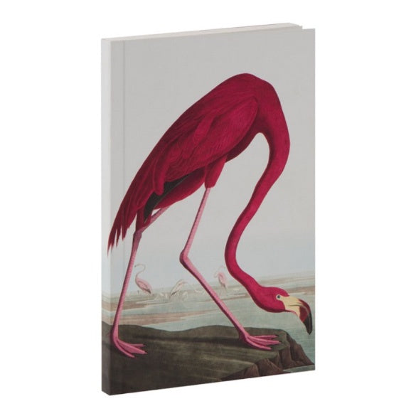 Journal - Flamingo